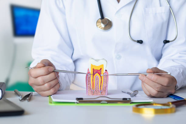 Best Emergency Wisdom Teeth Removal in Speer, NC
